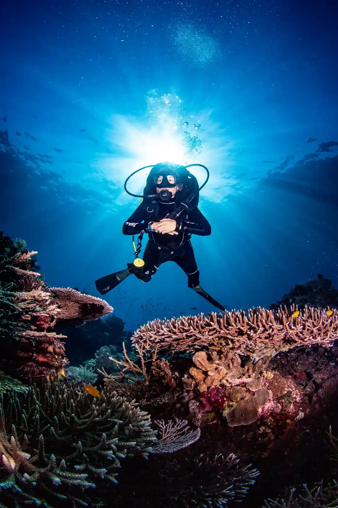 A diver against the sun