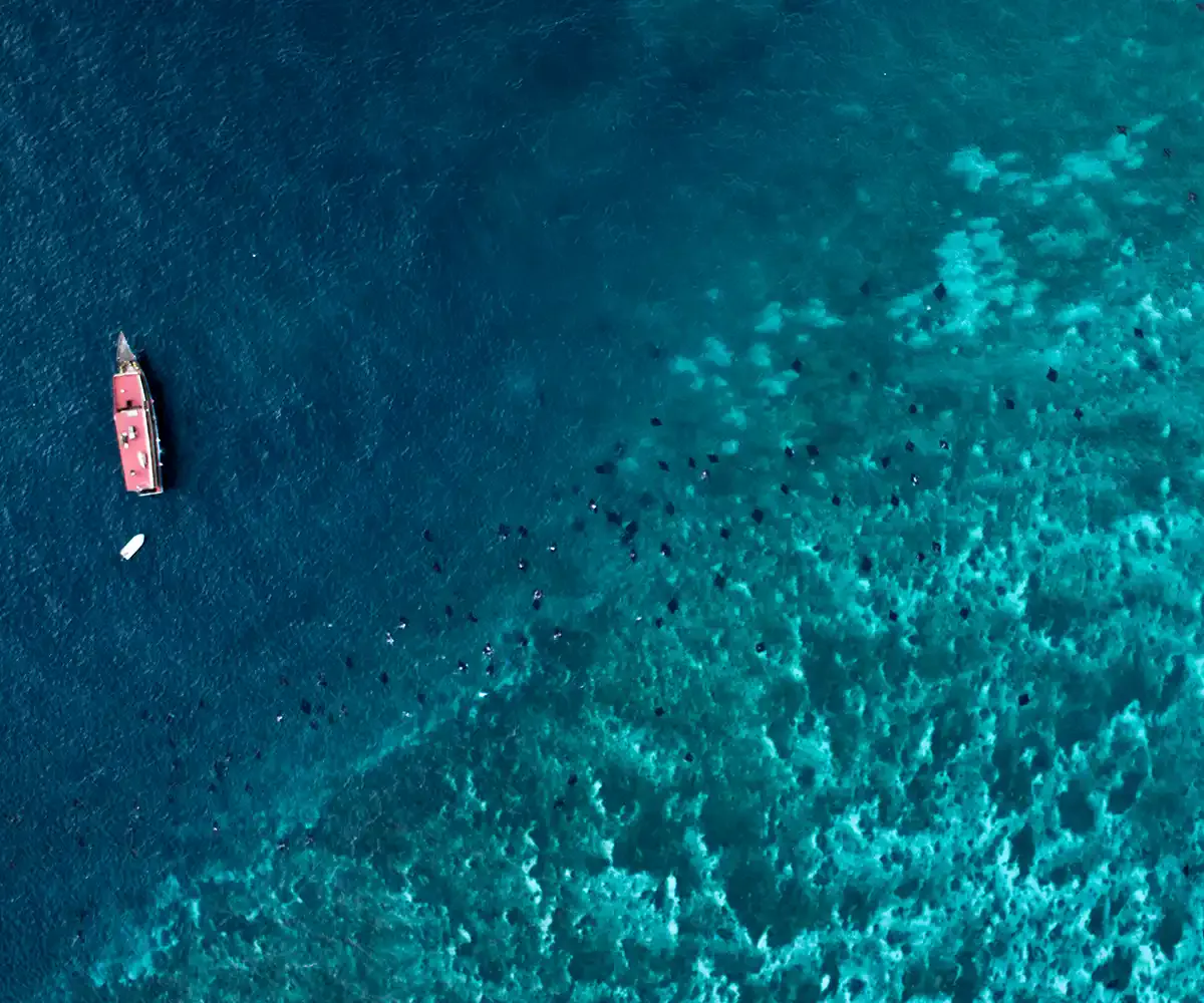 Manta Point from the air