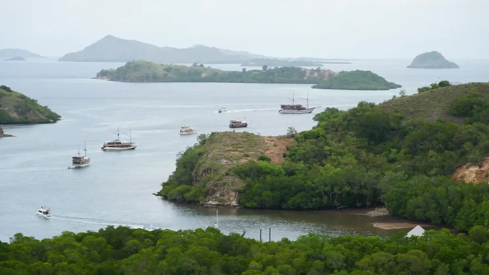 Mangrove and hills around the bay at Rinca Island