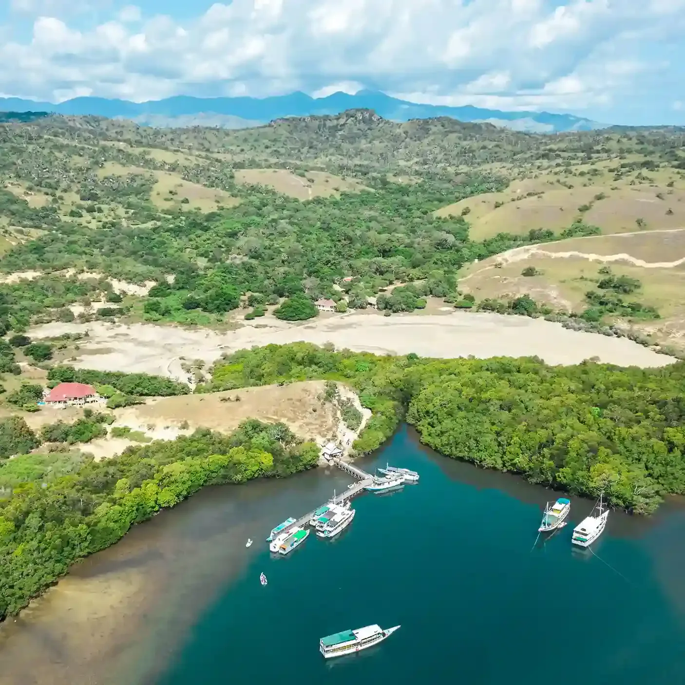 The bay at Loh Buaya, Rinca Island, from the air