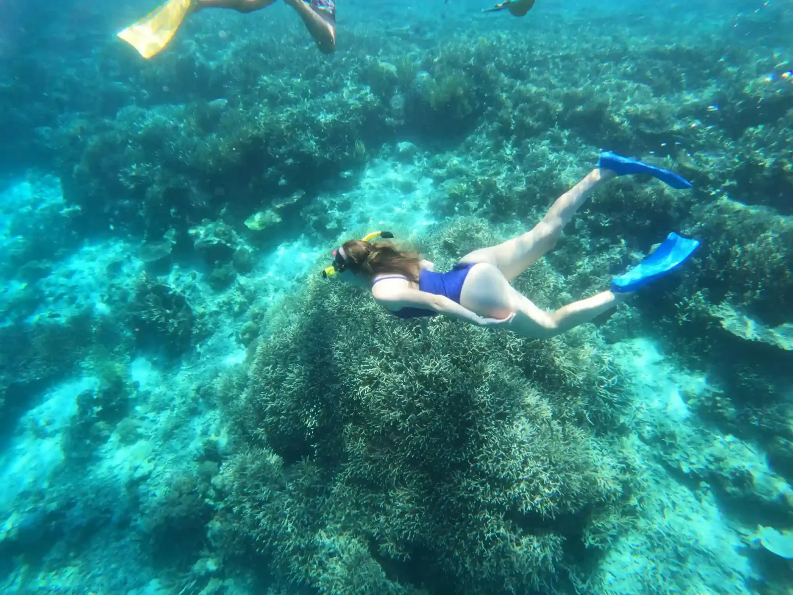 A snorkeller in clear water