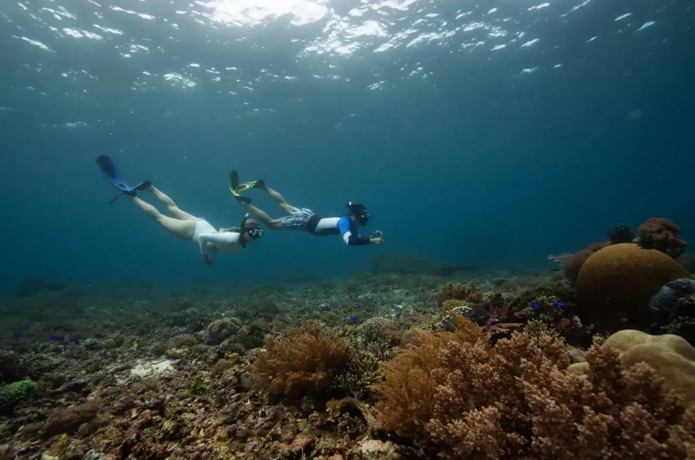Two snorkellers above the reef