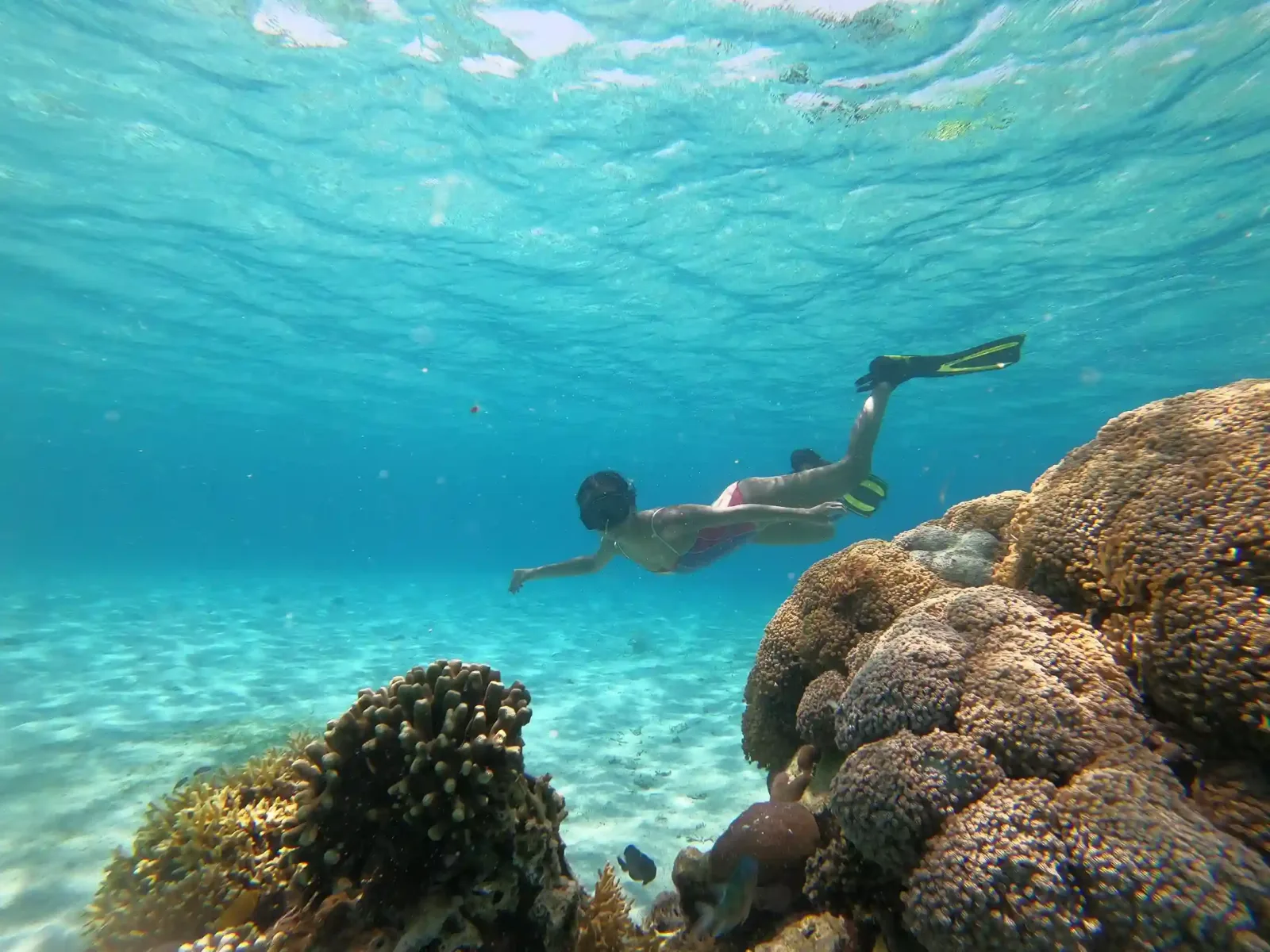 Snorkellers above a reef